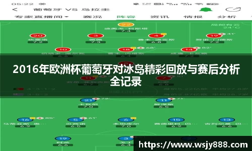 2016年欧洲杯葡萄牙对冰岛精彩回放与赛后分析全记录